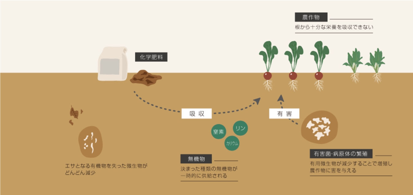 土壌の疲弊と生態系の崩壊―自然のリズムを無視した農法の結果
